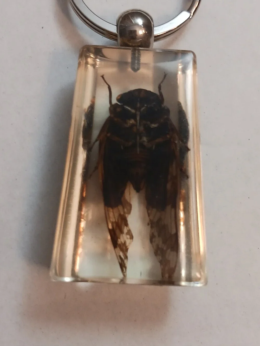 Two's Company Big Bug Keychain , Resin 1.75in Fob , 3in Total